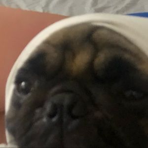 Meet your Posher, Juan